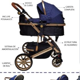 Coche Moisés Milán Morado