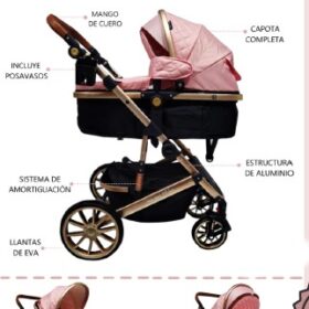 Coche Moisés Milán Rosa