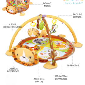 Gym LEON