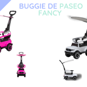 BUGGIE DE PASEO FANCY