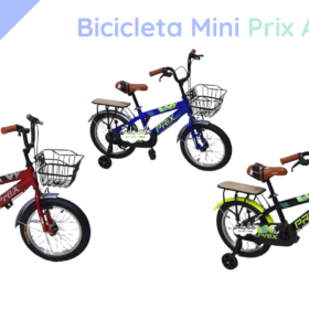 Bicicleta Mini Prix Aro 16