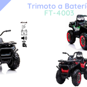 Trimoto a Batería FT-4003