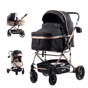 Coche Cuna Moises de Lujo Bigi Ebaby Negro