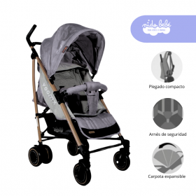 Coche Baston King color Plomo