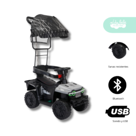 Carrito BUGGY de niño Modelo  WALKER color Plomo
