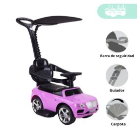 Carrito BUGGY de niño Modelo Flex Rosado