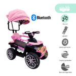 Carrito BUGGY de niño Modelo TERRADO PINK
